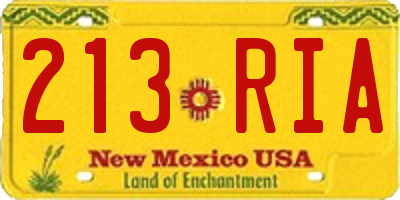 NM license plate 213RIA