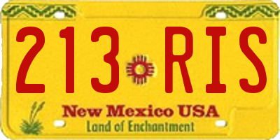 NM license plate 213RIS