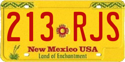 NM license plate 213RJS