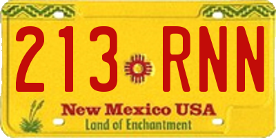 NM license plate 213RNN