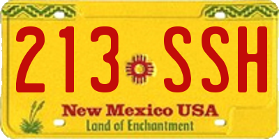 NM license plate 213SSH