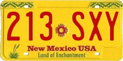 NM license plate 213SXY