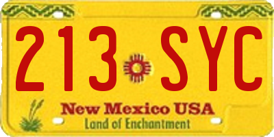 NM license plate 213SYC