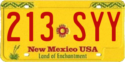 NM license plate 213SYY