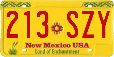 NM license plate 213SZY