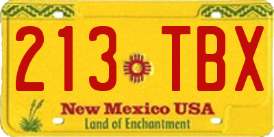 NM license plate 213TBX