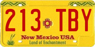 NM license plate 213TBY
