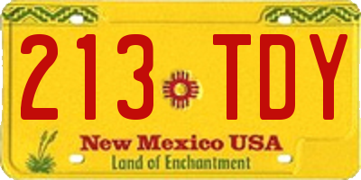NM license plate 213TDY
