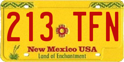 NM license plate 213TFN