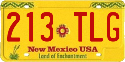 NM license plate 213TLG