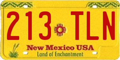 NM license plate 213TLN