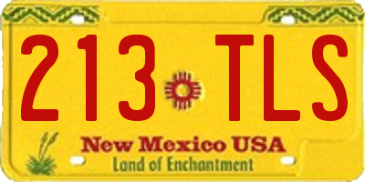 NM license plate 213TLS