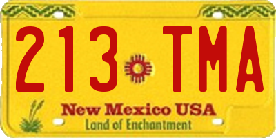 NM license plate 213TMA