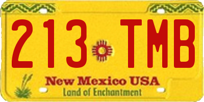 NM license plate 213TMB