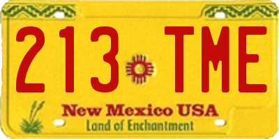 NM license plate 213TME