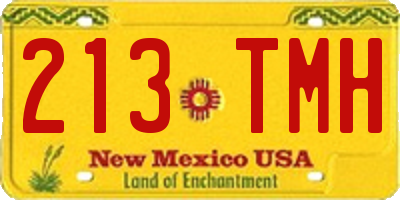 NM license plate 213TMH