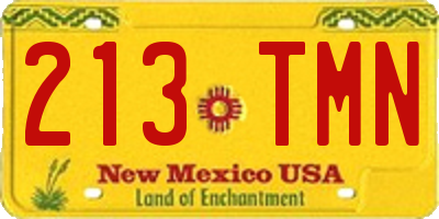 NM license plate 213TMN