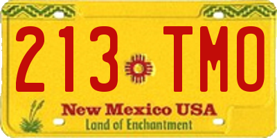 NM license plate 213TMO