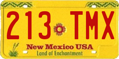 NM license plate 213TMX