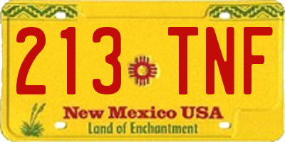 NM license plate 213TNF