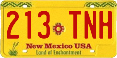 NM license plate 213TNH