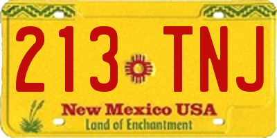 NM license plate 213TNJ