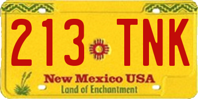 NM license plate 213TNK