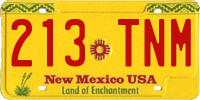 NM license plate 213TNM