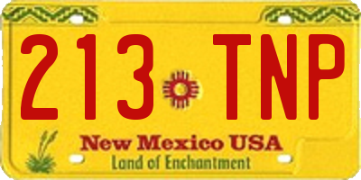 NM license plate 213TNP