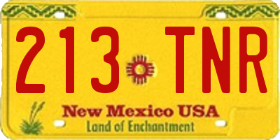 NM license plate 213TNR