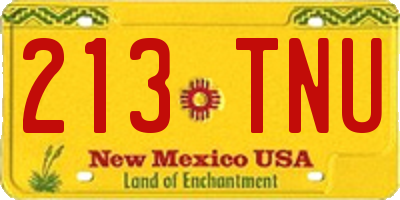 NM license plate 213TNU