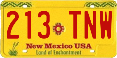 NM license plate 213TNW