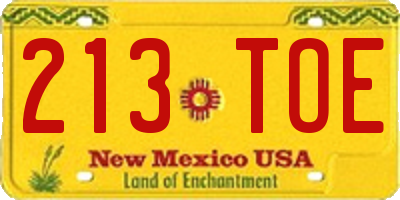 NM license plate 213TOE