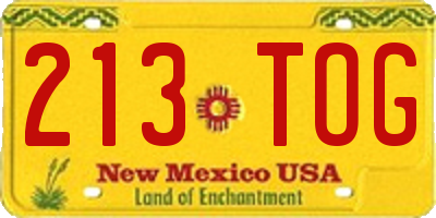 NM license plate 213TOG