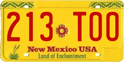 NM license plate 213TOO