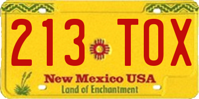 NM license plate 213TOX