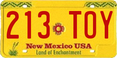 NM license plate 213TOY