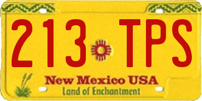 NM license plate 213TPS
