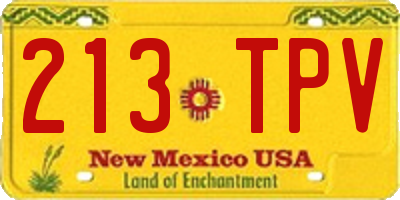 NM license plate 213TPV