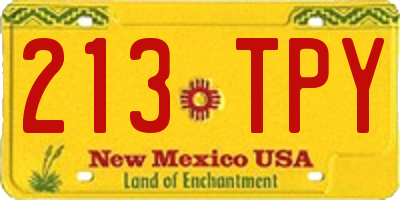 NM license plate 213TPY