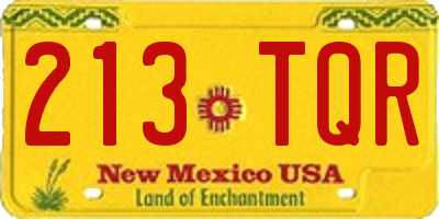 NM license plate 213TQR