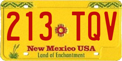 NM license plate 213TQV