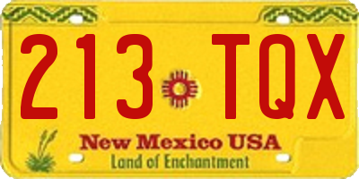 NM license plate 213TQX