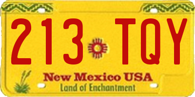 NM license plate 213TQY