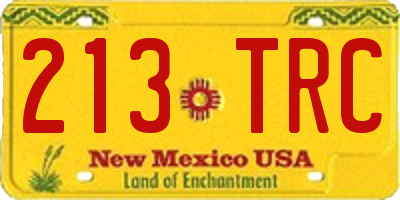 NM license plate 213TRC
