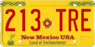 NM license plate 213TRE