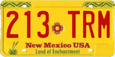NM license plate 213TRM