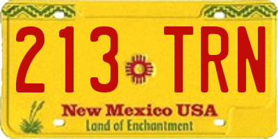 NM license plate 213TRN