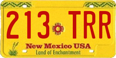 NM license plate 213TRR