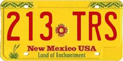 NM license plate 213TRS
